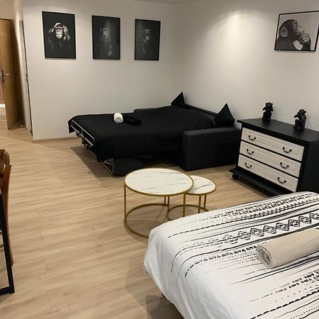 Gite, Maison Entiere Avec Billard Et Bel Espace De Vie La Grange Blicourt Kültér fotó
